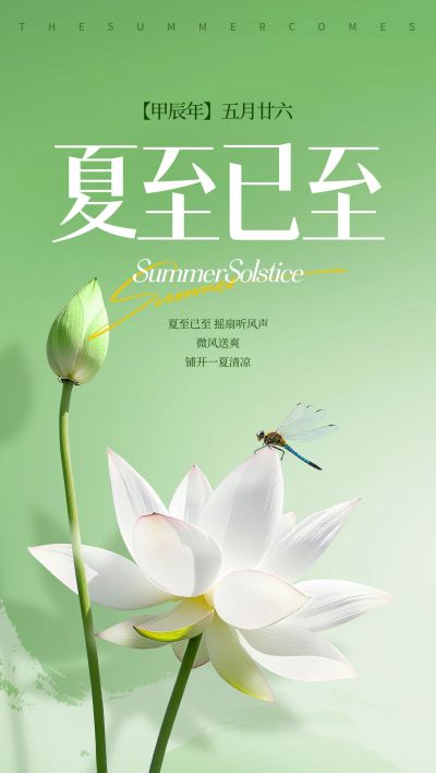 夏至实景感荷花荷叶蜻蜓祝福海报AIGC