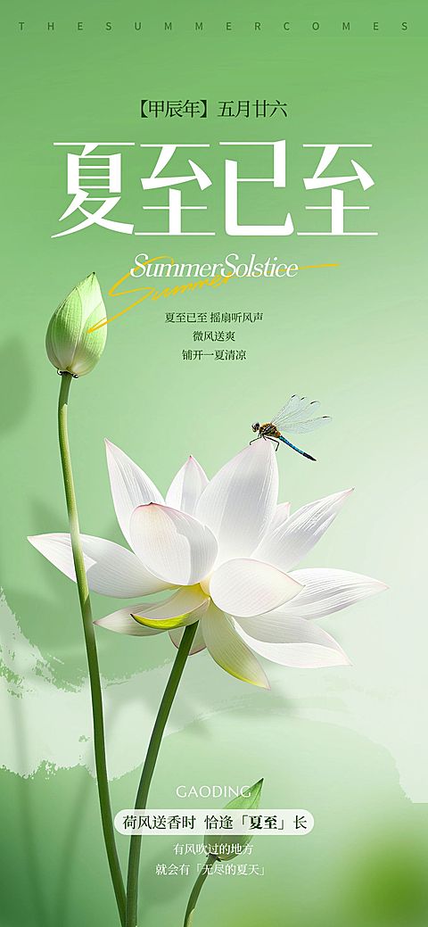 夏至实景感荷花荷叶蜻蜓祝福海报AIGC