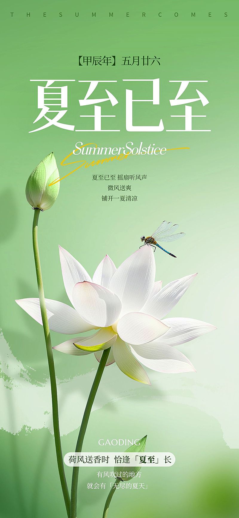 夏至实景感荷花荷叶蜻蜓祝福海报AIGC