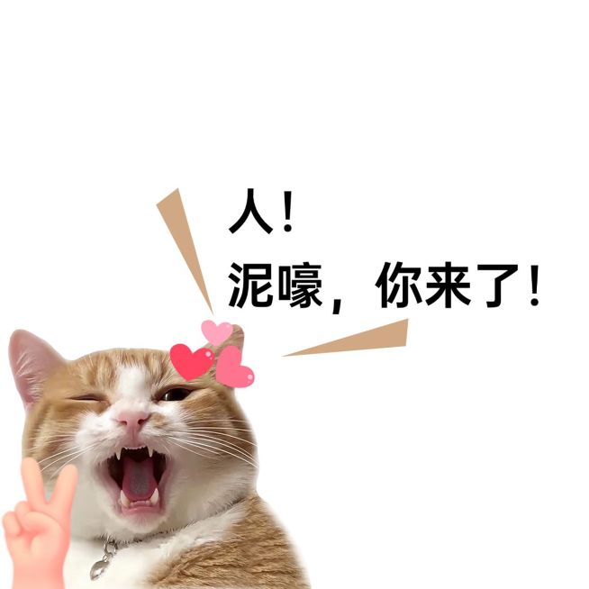 趣味表情包朋友圈封面aigc预览效果