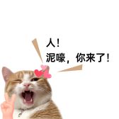 模板缩略图