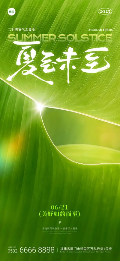 夏至实景光感荷叶祝福海报AIGC