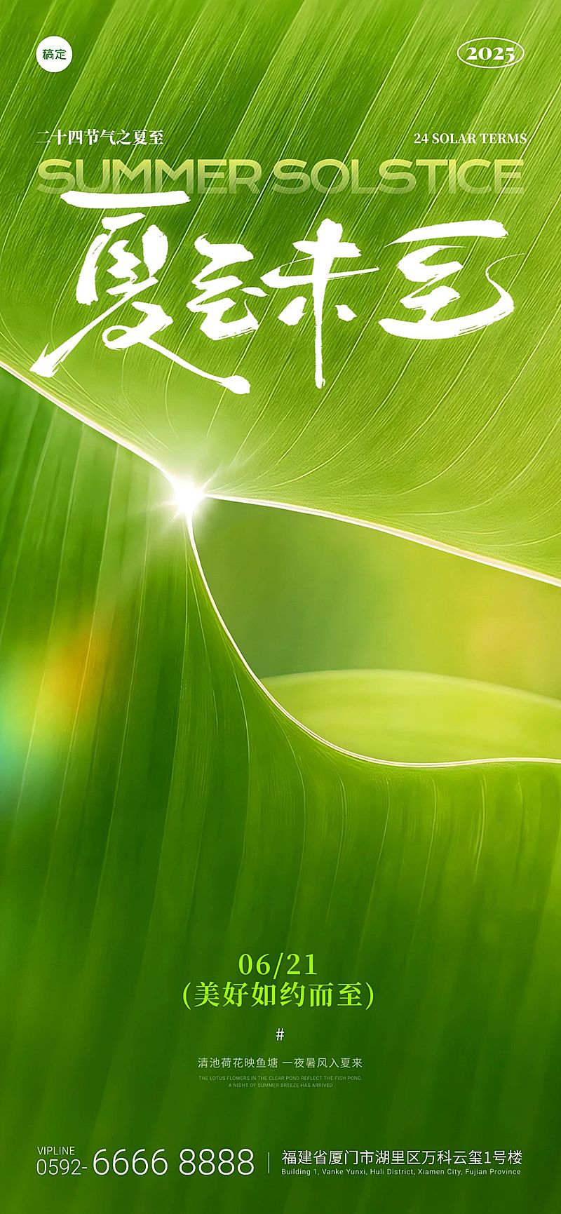 夏至实景光感荷叶祝福海报AIGC