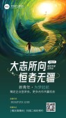 模板缩略图