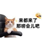 模板缩略图