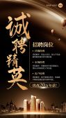 模板缩略图