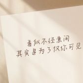 模板缩略图