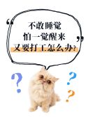 模板缩略图