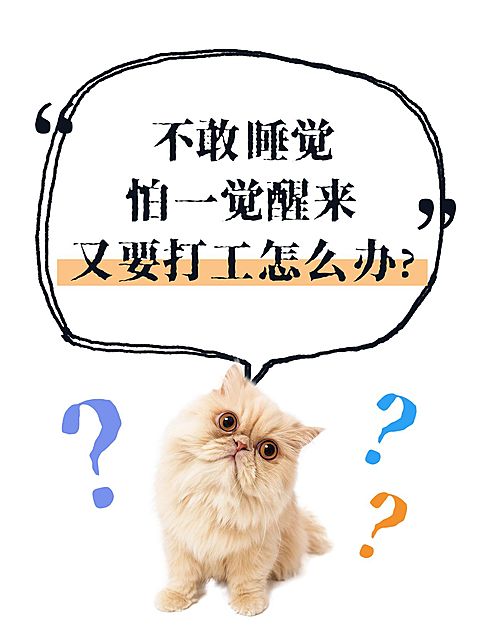 爆款大字表情包梗图小红书封面aigc