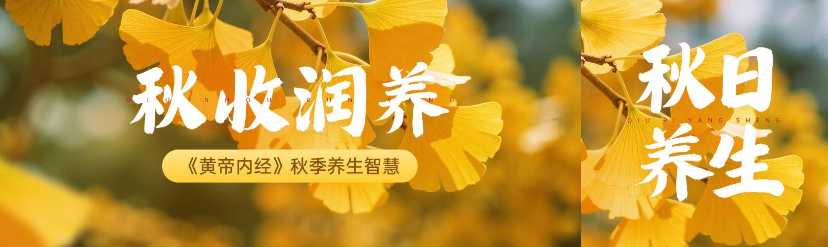 秋季养生攻略宣传推广公众号双封面AIGC预览效果