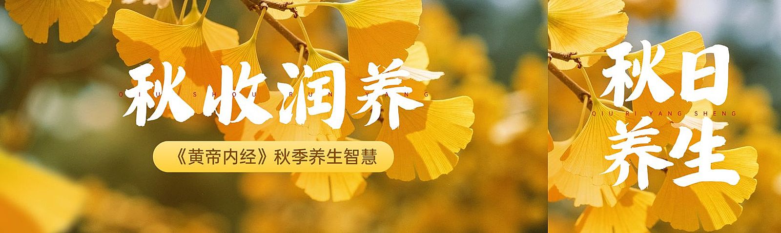 秋季养生攻略宣传推广公众号双封面AIGC