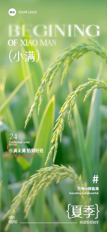 小满海报实景感小麦近景全屏海报预览效果