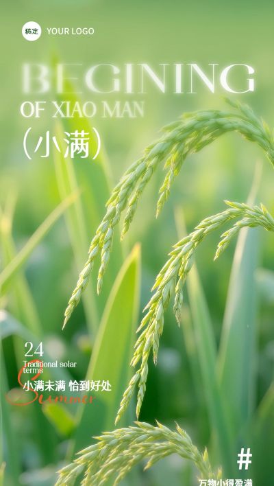 小满海报实景感小麦近景全屏海报