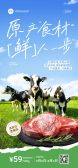 模板缩略图