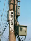 小红书海报素材