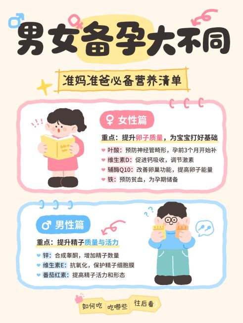 孕产母婴备孕指南补剂选择可爱插画小红书配图预览效果