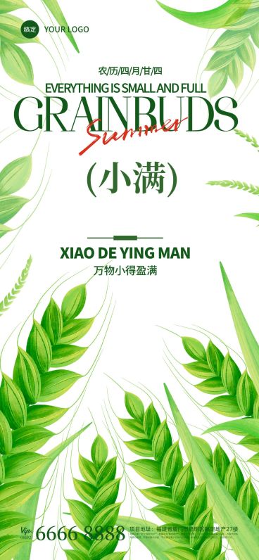 小满节气弥散渐变小麦插画海报预览效果