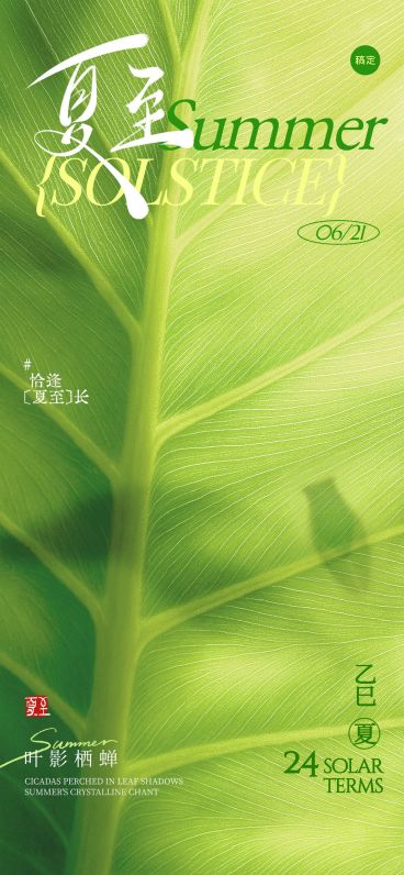 夏至节气光影感荷叶剪影全屏海报aigc预览效果