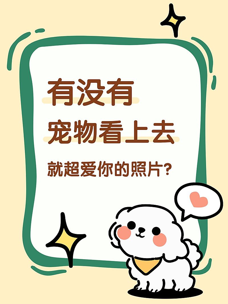大字卡通插画可爱感文本框小红书封面