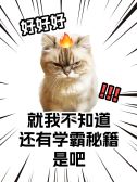 模板缩略图