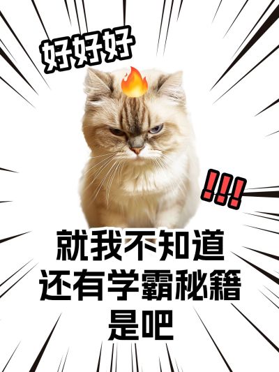 爆款吸睛大字315表情包梗图小红书封面aigc