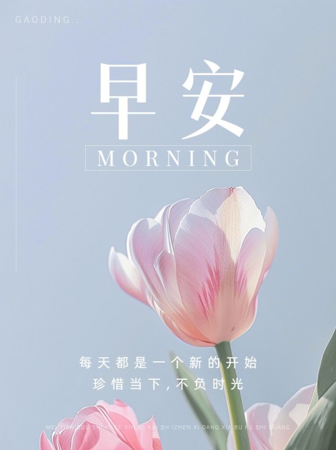 早安情感语录小红书封面AIGC预览效果