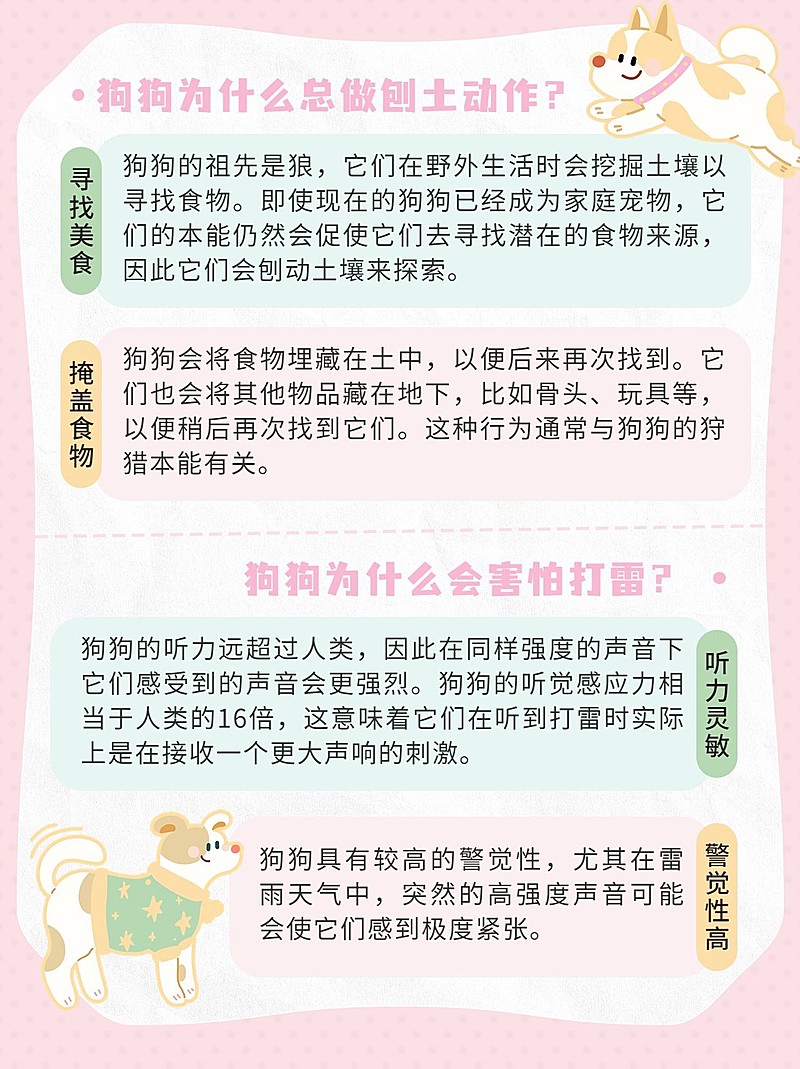 宠物知识科普手帐风小红书套装小红书配图