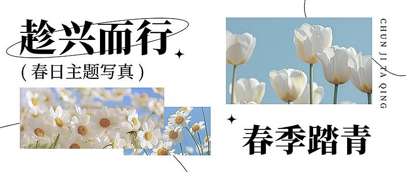 春游春季旅游踏青摄影图拼图公众号首图AIGC