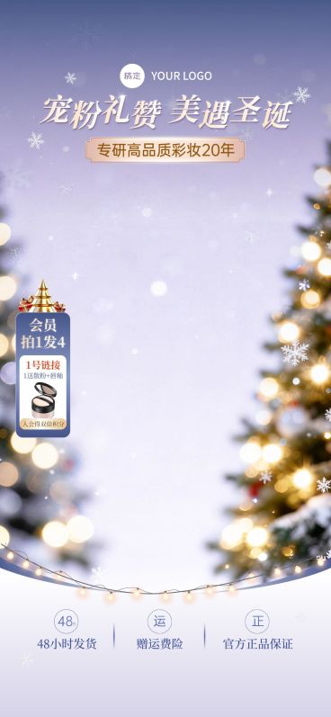 圣诞节美容美妆轻奢感直播背景贴片组合预览效果