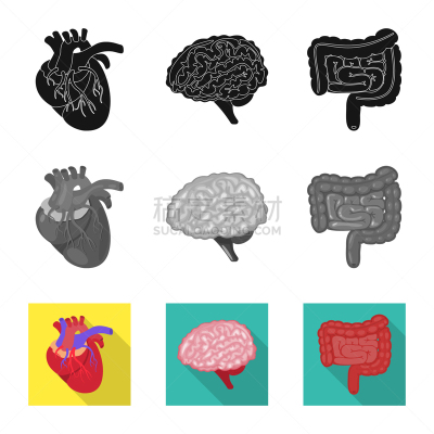 生物学,科学,分离着色,品牌名称,人造物,健康保健,植物群,主动脉,空肠,思考