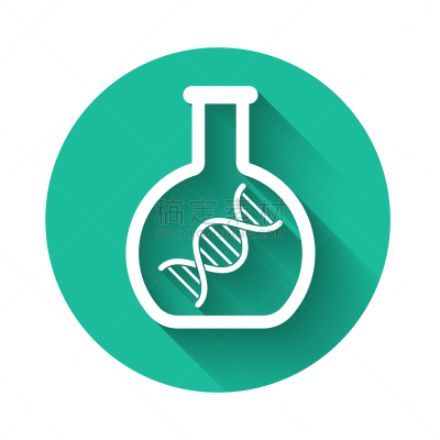白色,遗传研究,分离着色,图标,长的,螺线,技术,科学,生物学,搜寻