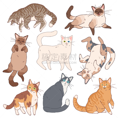 可爱的,动物,卡通,乐趣,嬉戏的,宠物,猫,矢量,小猫