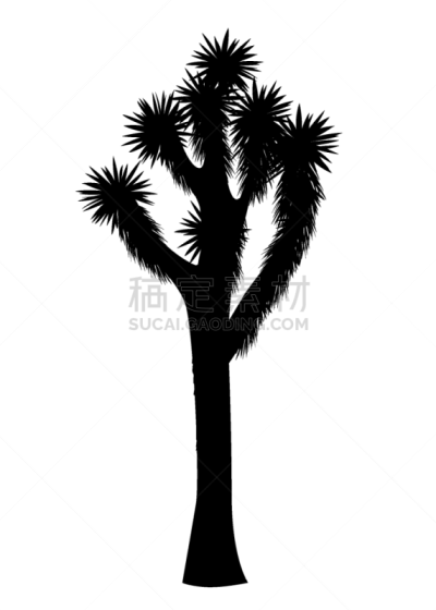 分离着色,约书亚树,白色背景,加利福尼亚,植物群,仙人掌,公园,丝兰,品牌名称,绘制