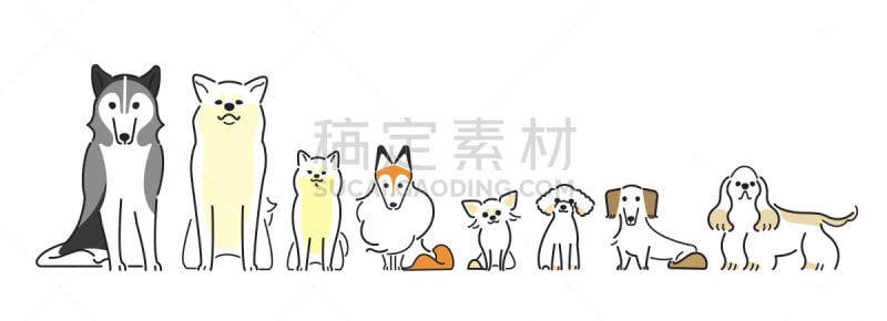 狗年,十二生肖,简单,狗,日本柴犬,哺乳纲,小型贵宾犬,哈巴狗,小的,动物