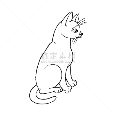 动物,草图,猫,矢量,分离着色,可爱的,动物主题,背景分离,肖像,橙色