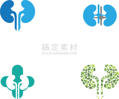 肾脏,生物学,健康保健,部分,家庭,门诊部,模板,品牌名称