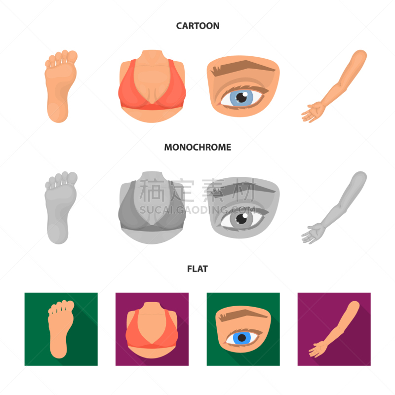 部分,分离着色,图标集,人造物,眼球,眉毛,肘,验光师