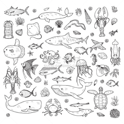 海洋生命,鱼类,可爱的,深的,热带气候,野生动物,海星,海龟,动物,海鱼