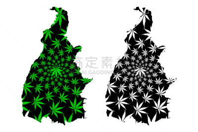 巴西,托坎廷斯,州,健康保健,现代,草,植物,剪影