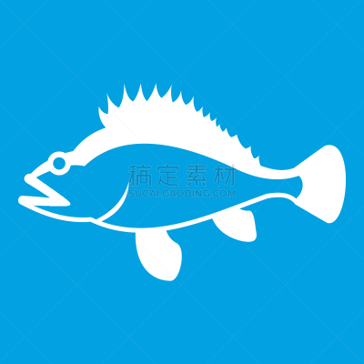 白色,岩鱼,鱼肉,计算机图标,玫瑰,分离着色,自然,红色,海产,清新