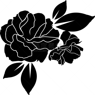 纺织品,玫瑰,壁纸,式样,黑白图片,极简构图,华丽的,一个物体,菜园,背景分离