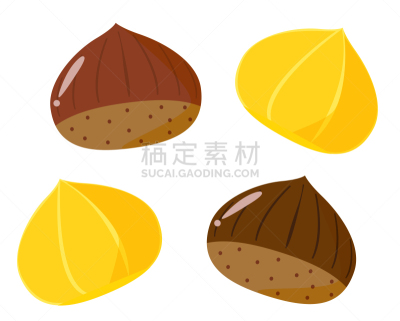 秋天,栗子,矢量,绘画插图,自然,健康食物,烤的,食品,图像,浆果