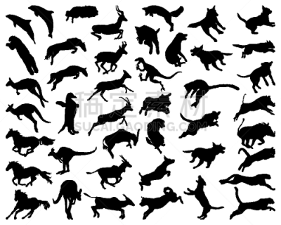 动物主题,愉悦,图像,猫,狗,海豚,猪,犀牛,狐狸,跳