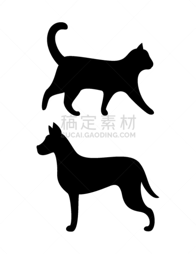 狗,犬科的,猫,黑色,秘密,纯种犬,摆拍,野生动物,站