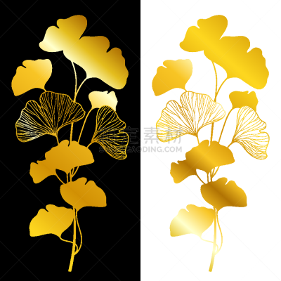 银杏树,白色,黄金,枝,叶子,矢量,银杏,黑色背景,剪影,串