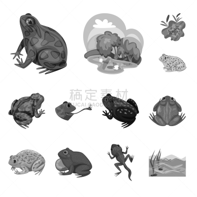 分离着色,自然,野生植物,一个物体,符号,生物学,灰色,野生动物,环境,布置