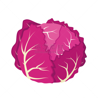 红球甘蓝,绘画插图,卡通,矢量,幽默,高雅,可爱的,蔬菜,自然界的状态,背景分离