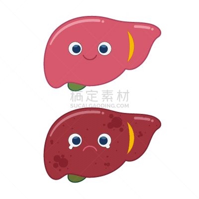肝脏,健康生活方式,动物,健康保健,癌症,细胞,结肠炎,肝炎,病毒,不健康食物