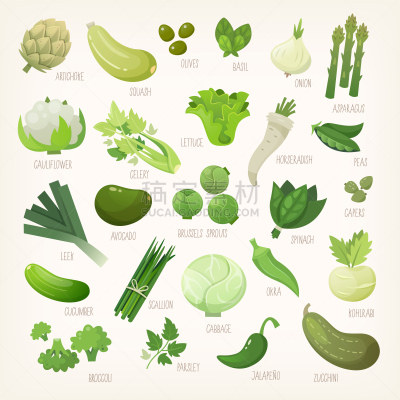 蔬菜,水果,白色,绿色,多样,芹菜,菠菜,胡瓜,韭,莴苣
