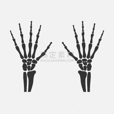 手腕,骨骼,背的，脊的,白色,生物学,健康保健,人,图像,拇指,叉腰